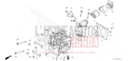 CULASSE WW125SS de 2025